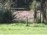 Waitoki 3.1636ha (7.817 acres) - Location Plus Privacy