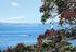 Similar property