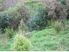 2 Fabulous Sections with Panoramic Views