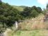 83.7 Ha Nature Experience - A Rare Find