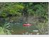 KAURI COAST TOP 10 HOLIDAY PARK FOR SALE FREEHOOLD -STUNNING VALUE
