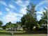 KAURI COAST TOP 10 HOLIDAY PARK FOR SALE FREEHOOLD -STUNNING VALUE