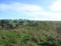 Million Dollar Views