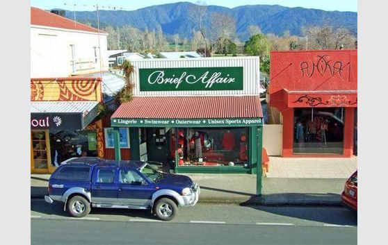 BUSINESS FOR SALE ? BRIEF AFFAIR