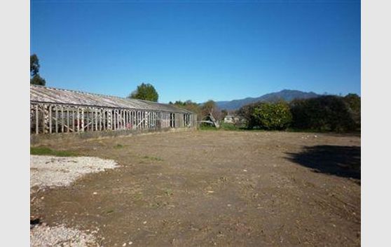Opportunity Knocks In Takaka