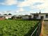 Rongotea Tavern in the Manawatu. Business and Real Estate is for sale.
