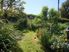 A SPOT IN THE COUNTRY