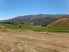 GIBBSTON WINE ESTATE