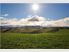 Vineyard - Residential Subdivision Potential 81ha