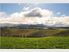 Vineyard - Residential Subdivision Potential 81ha