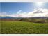 Vineyard - Residential Subdivision Potential 81ha