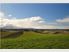 Vineyard - Residential Subdivision Potential 81ha