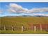 Vineyard - Residential Subdivision Potential 81ha