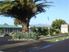 Palm Motel Waihi