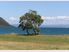 ABSOLUTE LAKEFRONT TAUPO