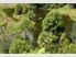 Halstead Farm, B&B and Tourism development opportunity for sale in Dannevirke