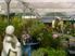 Home and Hozed Greenworld