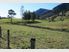 Ronga Valley Farmlet