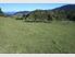 Ronga Valley Farmlet