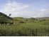 Unique Opportunity - B&B Farmstay on 25ha (65 acres)
