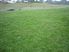 Millbrook Drive - Affordable Section