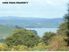Good Buy at Kawhia