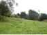 Good Buy at Kawhia