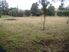 Three Rivers Junction - 1.445ha approx