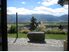 Pure Natural New Zealand - All Offers Presented