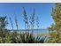 Massive Price Reduction