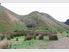 45.6ha (112.59 Acres) Handy to Wanganui