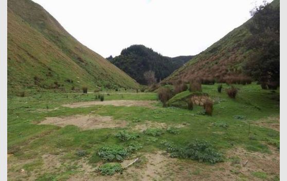 45.6ha (112.59 Acres) Handy to Wanganui