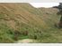 45.6ha (112.59 Acres) Handy to Wanganui