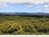 Substantial Income - Substantial Property