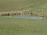 Executive style living and on 40 hectare deer farm