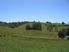 A Winning Combination – over 100 beautiful acres + convenient Dairy Flat location