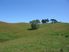 A Winning Combination – over 100 beautiful acres + convenient Dairy Flat location