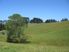 A Winning Combination – over 100 beautiful acres + convenient Dairy Flat location