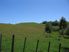 A Winning Combination – over 100 beautiful acres + convenient Dairy Flat location