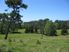 A Winning Combination – over 100 beautiful acres + convenient Dairy Flat location