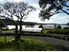 Retirees Dream on 8.9 Hectares