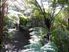 Retirees Dream on 8.9 Hectares