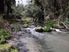 Valley Tourism and Lifestyle Dream