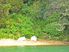 Special Site at Harris Bay