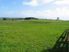 28 Acres Of Prime Real Estate