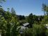 NESTLED IN ARTHURS POINT