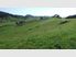 42.74 hectare ex dairy farm property