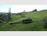 42.74 hectare ex dairy farm property