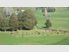 42.74 hectare ex dairy farm property