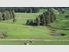 42.74 hectare ex dairy farm property